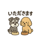 ミニチュアシュナウザーと仲間たち（個別スタンプ：24）