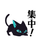 毎日使える⭐︎シンプル黒猫JunIchi（個別スタンプ：37）