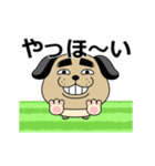 動く 売れ残りわんこ（個別スタンプ：1）