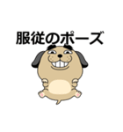 動く 売れ残りわんこ（個別スタンプ：17）