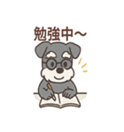 ミニシュナのほっこり日常（個別スタンプ：10）