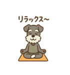 ミニシュナのほっこり日常（個別スタンプ：14）