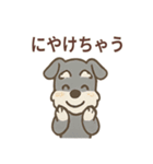ミニシュナのほっこり日常（個別スタンプ：21）
