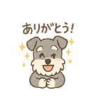ミニシュナのほっこり日常（個別スタンプ：24）