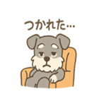 ミニシュナのほっこり日常（個別スタンプ：27）