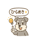 ミニシュナのほっこり日常（個別スタンプ：29）