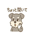 ミニシュナのほっこり日常（個別スタンプ：31）