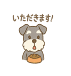 ミニシュナのほっこり日常（個別スタンプ：38）