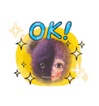 cocoart「はんぶんわたし」（個別スタンプ：25）