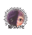 cocoart「はんぶんわたし」（個別スタンプ：39）