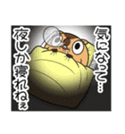 ワガマママーモット 13（個別スタンプ：34）