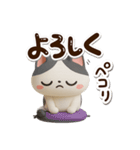 ハチワレぶち【3D】（個別スタンプ：3）