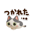 ハチワレぶち【3D】（個別スタンプ：23）