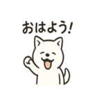 真っ白柴犬の日常スタンプ（個別スタンプ：1）