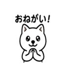 真っ白柴犬の日常スタンプ（個別スタンプ：16）