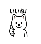 真っ白柴犬の日常スタンプ（個別スタンプ：17）