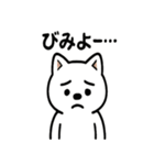 真っ白柴犬の日常スタンプ（個別スタンプ：19）