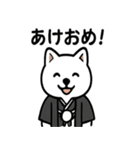 真っ白柴犬の日常スタンプ（個別スタンプ：20）
