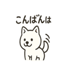 真っ白柴犬の日常スタンプ（個別スタンプ：23）