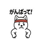 真っ白柴犬の日常スタンプ（個別スタンプ：24）