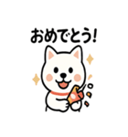 真っ白柴犬の日常スタンプ（個別スタンプ：30）