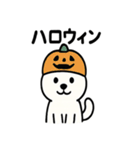 真っ白柴犬の日常スタンプ（個別スタンプ：32）
