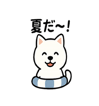 真っ白柴犬の日常スタンプ（個別スタンプ：35）