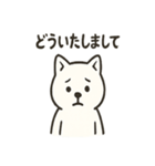 真っ白柴犬の日常スタンプ（個別スタンプ：36）