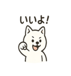 真っ白柴犬の日常スタンプ（個別スタンプ：38）