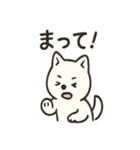 真っ白柴犬の日常スタンプ（個別スタンプ：40）