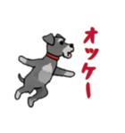 [オッケー専用]シュナウザー（個別スタンプ：4）