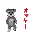 [オッケー専用]シュナウザー（個別スタンプ：5）