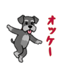 [オッケー専用]シュナウザー（個別スタンプ：6）