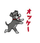 [オッケー専用]シュナウザー（個別スタンプ：7）