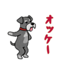 [オッケー専用]シュナウザー（個別スタンプ：8）
