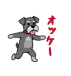 [オッケー専用]シュナウザー（個別スタンプ：9）
