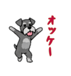 [オッケー専用]シュナウザー（個別スタンプ：10）
