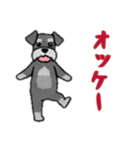 [オッケー専用]シュナウザー（個別スタンプ：11）