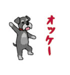 [オッケー専用]シュナウザー（個別スタンプ：12）