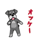 [オッケー専用]シュナウザー（個別スタンプ：13）