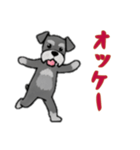 [オッケー専用]シュナウザー（個別スタンプ：16）