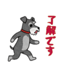 [了解です専用]シュナウザー（個別スタンプ：3）