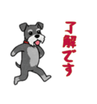 [了解です専用]シュナウザー（個別スタンプ：4）