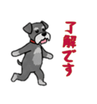 [了解です専用]シュナウザー（個別スタンプ：8）