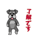 [了解です専用]シュナウザー（個別スタンプ：12）