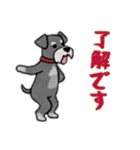 [了解です専用]シュナウザー（個別スタンプ：15）