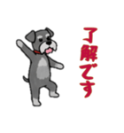 [了解です専用]シュナウザー（個別スタンプ：16）