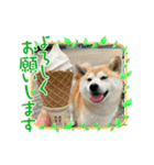 茶太郎さんの毎日スタンプ（個別スタンプ：2）