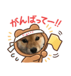 茶太郎さんの毎日スタンプ（個別スタンプ：7）