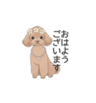 トイプードル ブラウン（使いやすい敬語）（個別スタンプ：1）